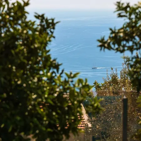 Nuka Loft * Kaş